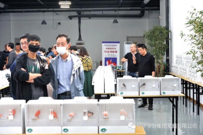 w66.com·(中国区)官方网站