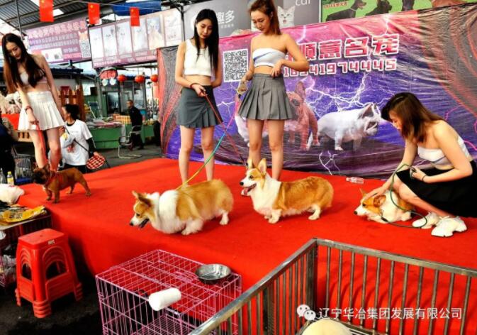 w66.com·(中国区)官方网站